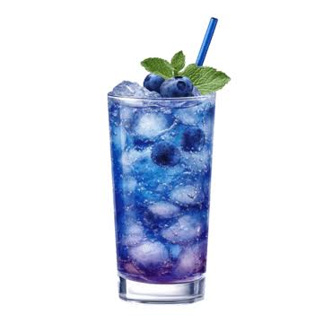 Blueberry Mojito